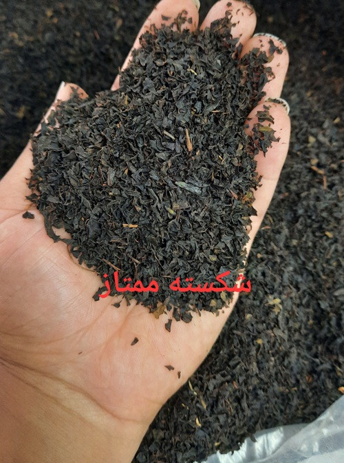 چای شکسته گیلان ارگانیک و خوشرنگ و با طعم طبیعی بسته2000 گرمی
